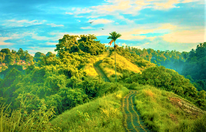 Destination